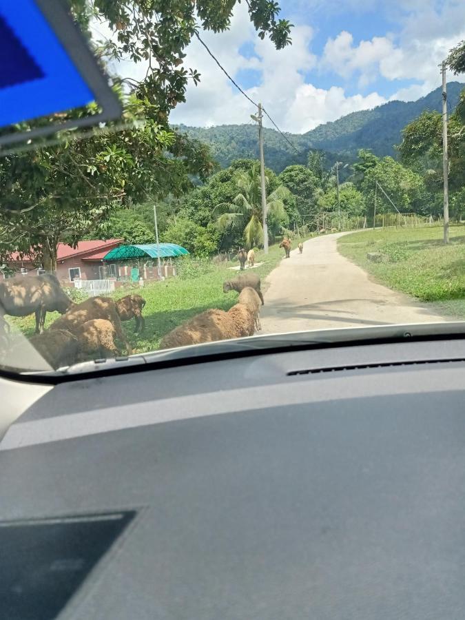 Aliza Scawa Homestay Kuala Pilah Exterior foto